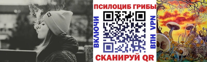Псилоцибиновые грибы Psilocybine cubensis продажа наркотиков Новоаннинский